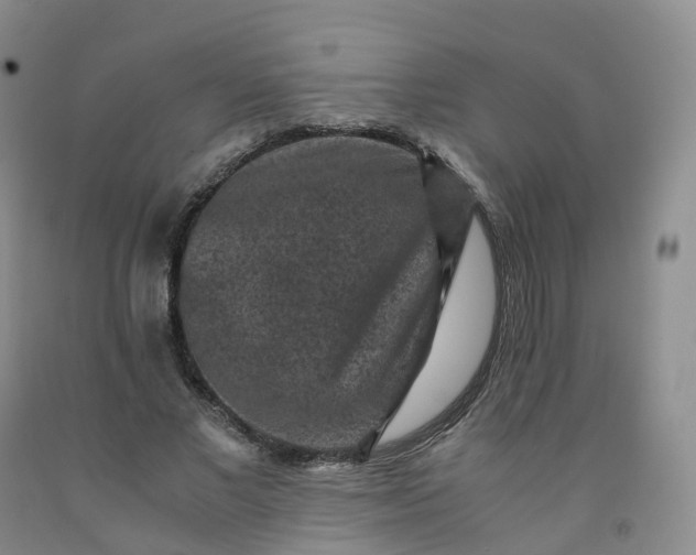 X0000092000685200709201509