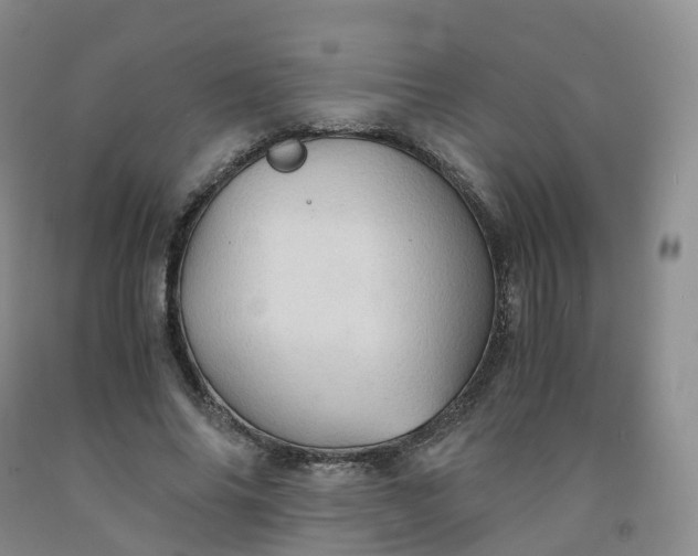 X0000092000686200709201509