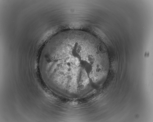 X0000092000687200709201509