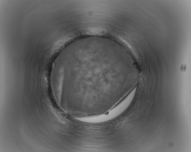 X0000092000688200709201509