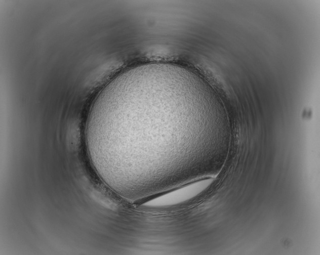 X0000092000690200709201509