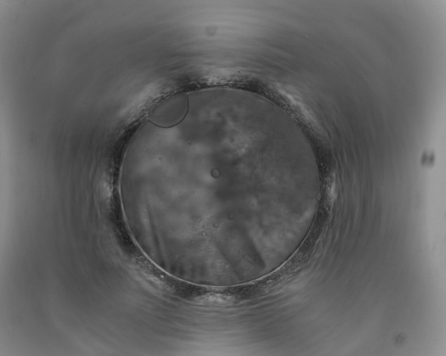 X0000092000691200709201509