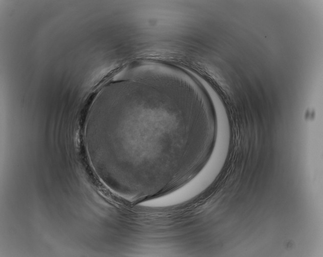 X0000092000692200709201509