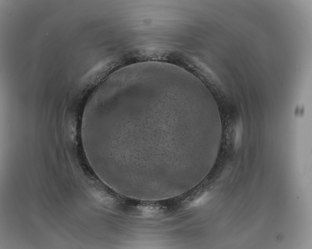 X0000092000693200709201509