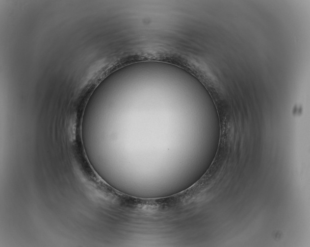 X0000092000694200709201509