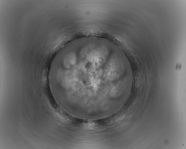 X0000092000695200709201509