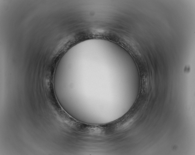 X0000092000698200709201509