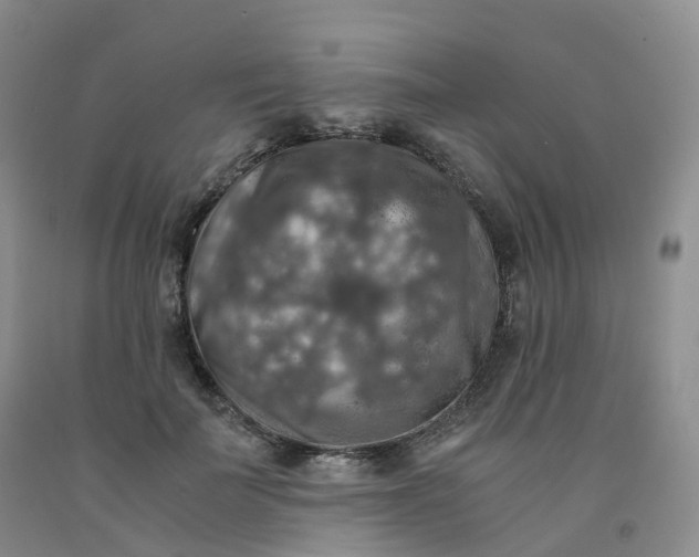 X0000092000699200709201509