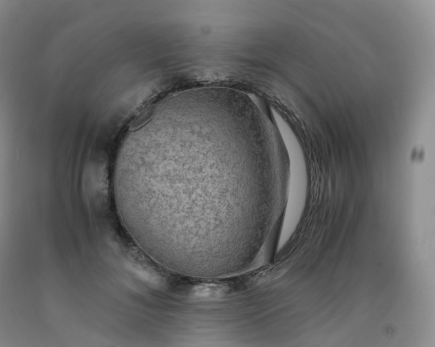 X0000092000700200709201509