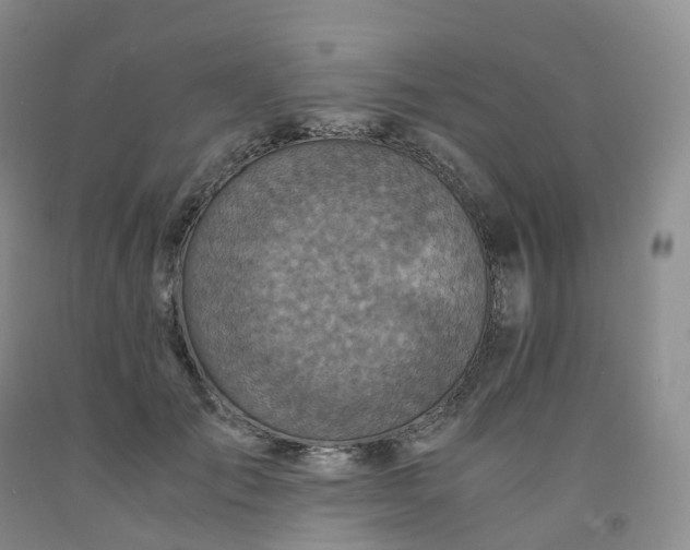 X0000092000701200709201509