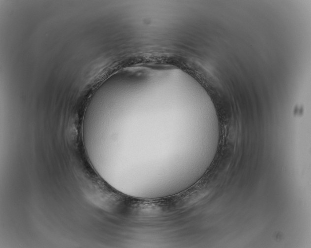 X0000092000702200709201509