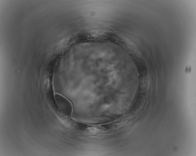 X0000092000703200709201509