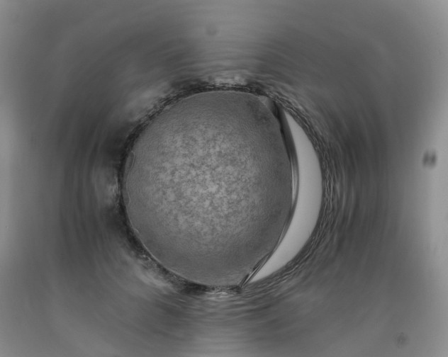 X0000092000704200709201509