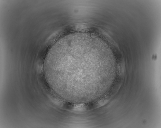 X0000092000705200709201509