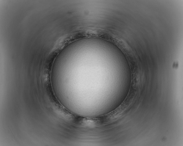 X0000092000706200709201509