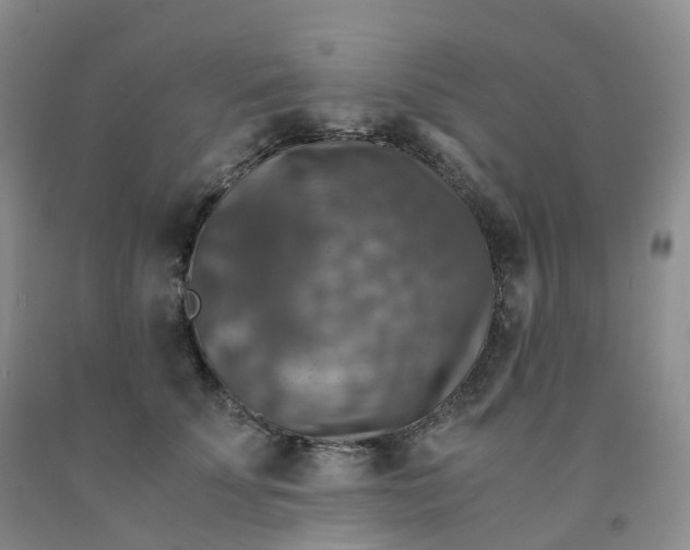 X0000092000707200709201509