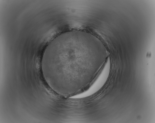 X0000092000708200709201509