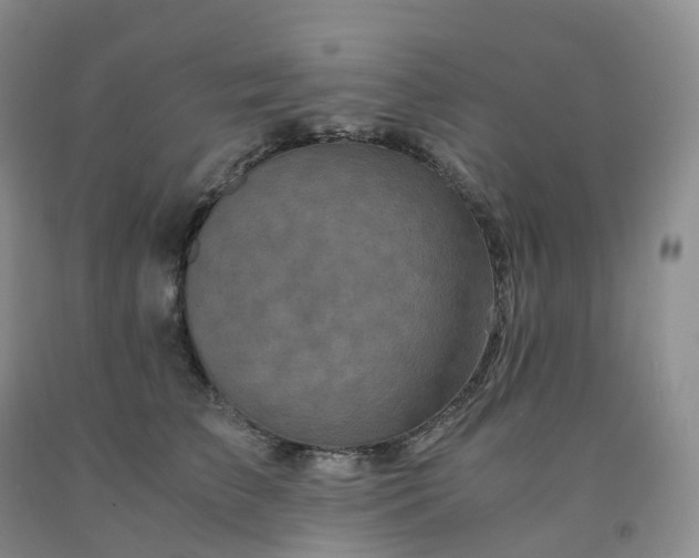 X0000092000709200709201509