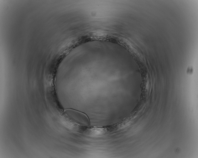 X0000092000711200709201509