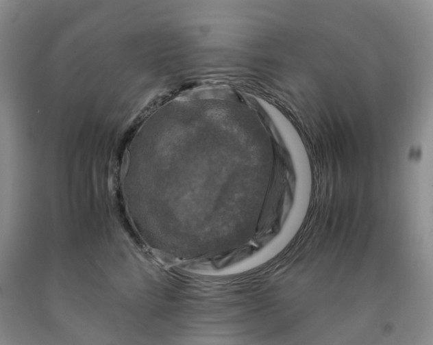 X0000092000712200709201509