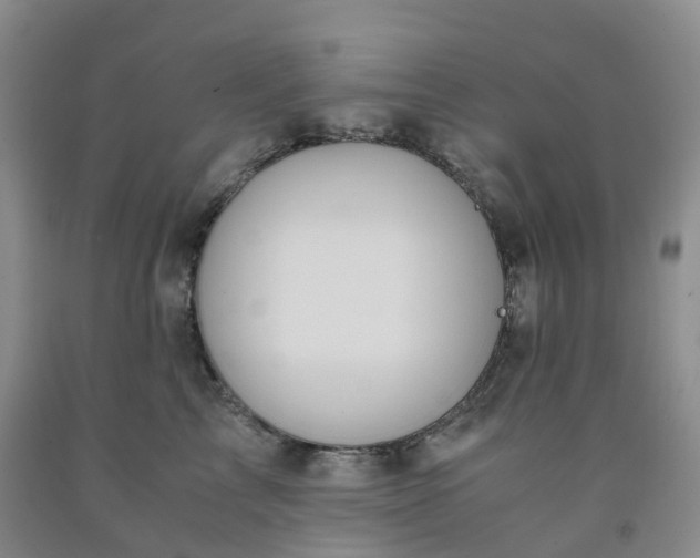 X0000092000713200709201509