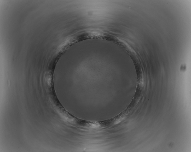 X0000092000715200709201509