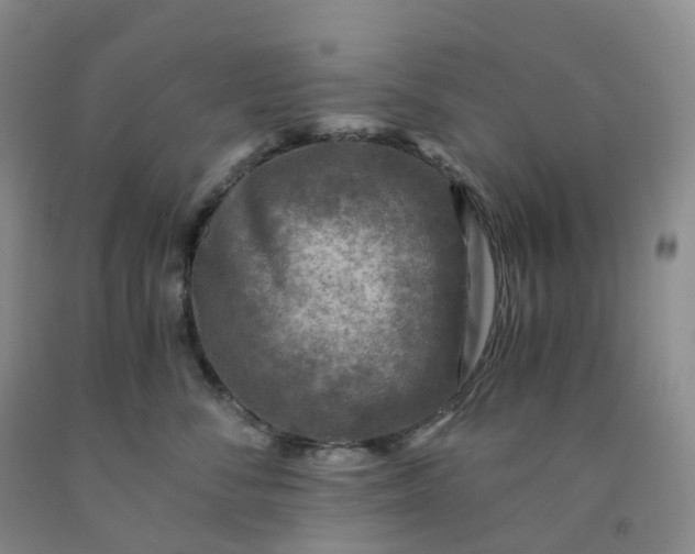 X0000092000716200709201509