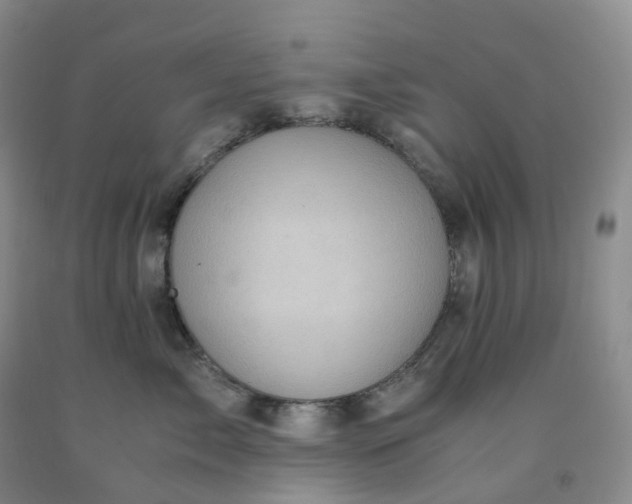 X0000092000717200709201509