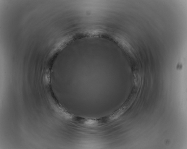 X0000092000718200709201509