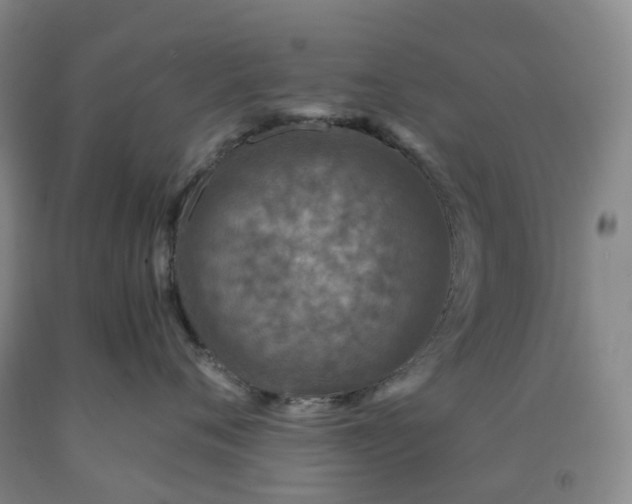 X0000092000720200709201509