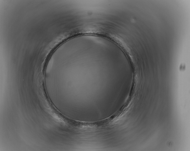 X0000092000721200709201508