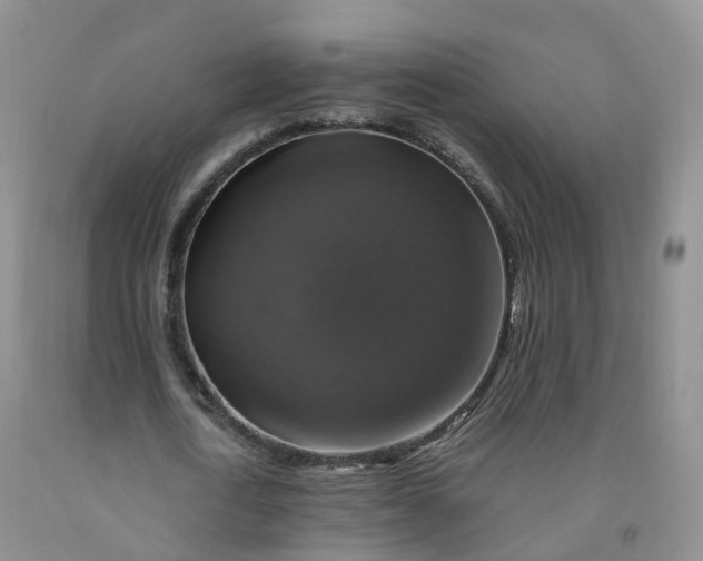 X0000092000722200709201508