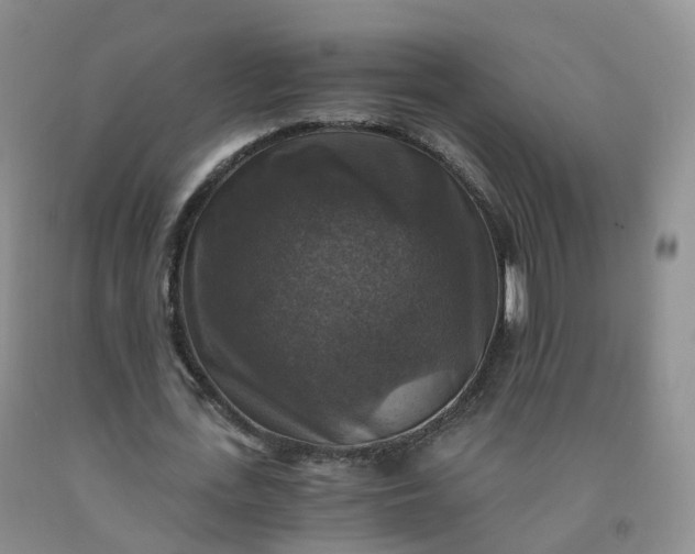 X0000092000723200709201508