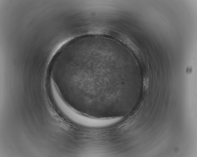 X0000092000724200709201508