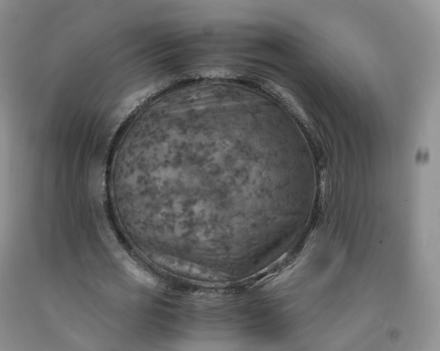 X0000092000725200709201508