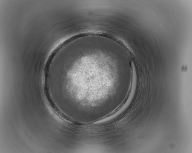 X0000092000726200709201508