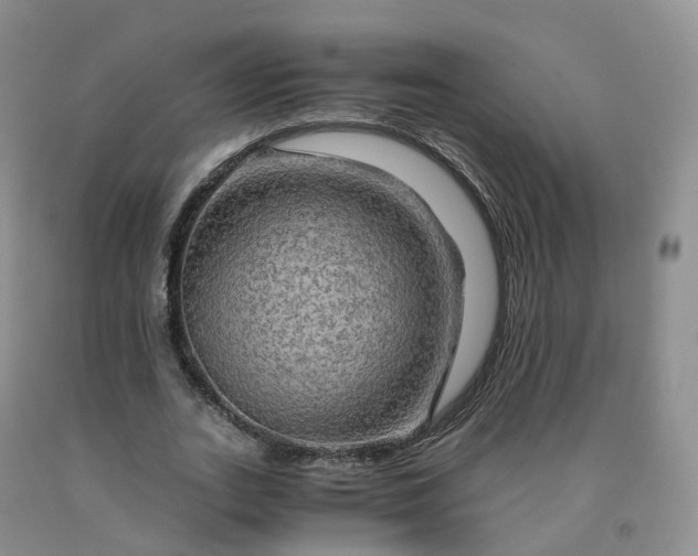 X0000092000727200709201508