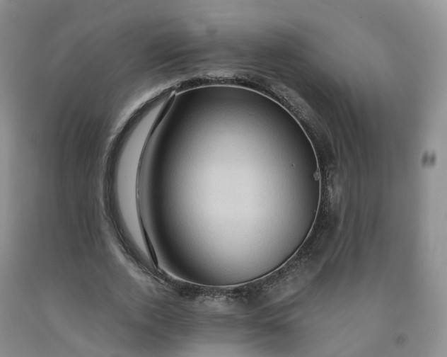 X0000092000728200709201508