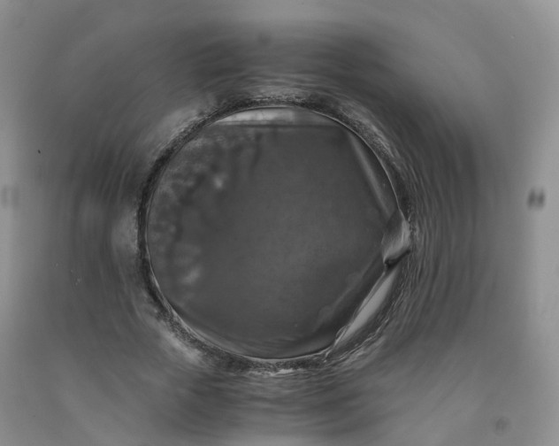 X0000092000729200709201508