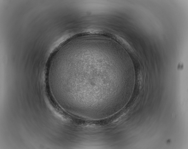 X0000092000730200709201508