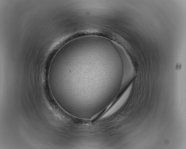 X0000092000732200709201508