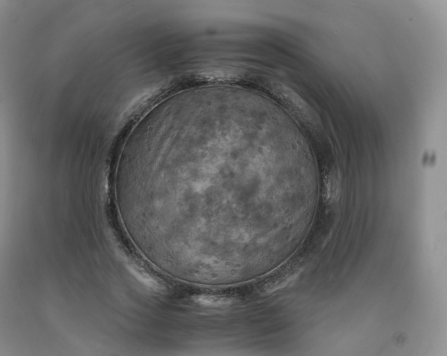 X0000092000733200709201508