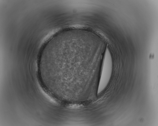 X0000092000734200709201508