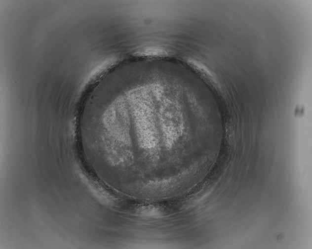 X0000092000735200709201508