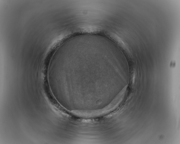 X0000092000736200709201508