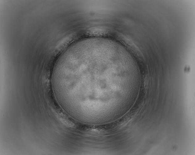 X0000092000737200709201508