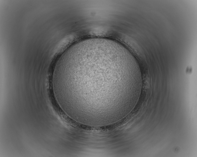 X0000092000738200709201508