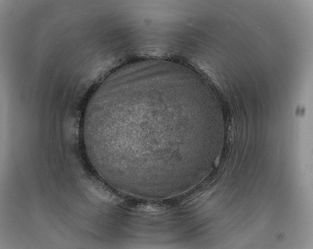 X0000092000739200709201508