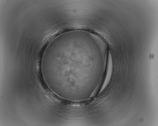 X0000092000740200709201508