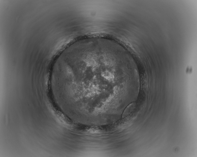 X0000092000742200709201508